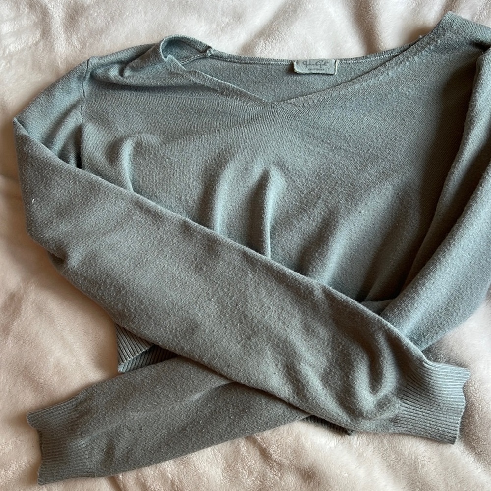 Brandy long sleeve crop top haven’t worn